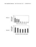 METAP-2 INHIBITOR POLYMERSOMES FOR THERAPEUTIC ADMINISTRATION diagram and image