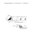 METAP-2 INHIBITOR POLYMERSOMES FOR THERAPEUTIC ADMINISTRATION diagram and image