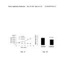 METAP-2 INHIBITOR POLYMERSOMES FOR THERAPEUTIC ADMINISTRATION diagram and image