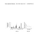 METAP-2 INHIBITOR POLYMERSOMES FOR THERAPEUTIC ADMINISTRATION diagram and image