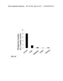 METAP-2 INHIBITOR POLYMERSOMES FOR THERAPEUTIC ADMINISTRATION diagram and image