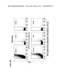 METAP-2 INHIBITOR POLYMERSOMES FOR THERAPEUTIC ADMINISTRATION diagram and image