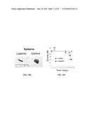 METAP-2 INHIBITOR POLYMERSOMES FOR THERAPEUTIC ADMINISTRATION diagram and image