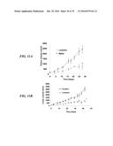 METAP-2 INHIBITOR POLYMERSOMES FOR THERAPEUTIC ADMINISTRATION diagram and image