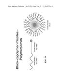 METAP-2 INHIBITOR POLYMERSOMES FOR THERAPEUTIC ADMINISTRATION diagram and image