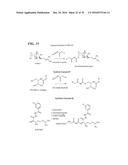 METAP-2 INHIBITOR POLYMERSOMES FOR THERAPEUTIC ADMINISTRATION diagram and image