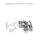 METAP-2 INHIBITOR POLYMERSOMES FOR THERAPEUTIC ADMINISTRATION diagram and image