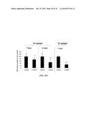 METAP-2 INHIBITOR POLYMERSOMES FOR THERAPEUTIC ADMINISTRATION diagram and image