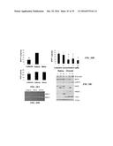 METAP-2 INHIBITOR POLYMERSOMES FOR THERAPEUTIC ADMINISTRATION diagram and image