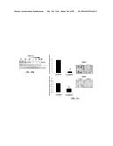 METAP-2 INHIBITOR POLYMERSOMES FOR THERAPEUTIC ADMINISTRATION diagram and image