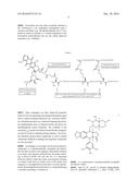 ETOPOSIDE AND DOXORUBICIN CONJUGATES FOR DRUG DELIVERY diagram and image