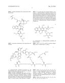 ETOPOSIDE AND DOXORUBICIN CONJUGATES FOR DRUG DELIVERY diagram and image