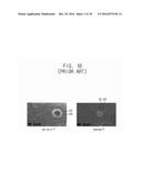 MICELLE CONTAINING BUBBLES FOR DRUG DELIVERY AND METHOD FOR MANUFACTURING     SAME diagram and image