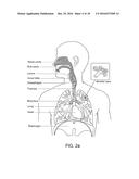 MOTOR DRIVE SYSTEM FOR RESPIRATORY APPARATUS diagram and image