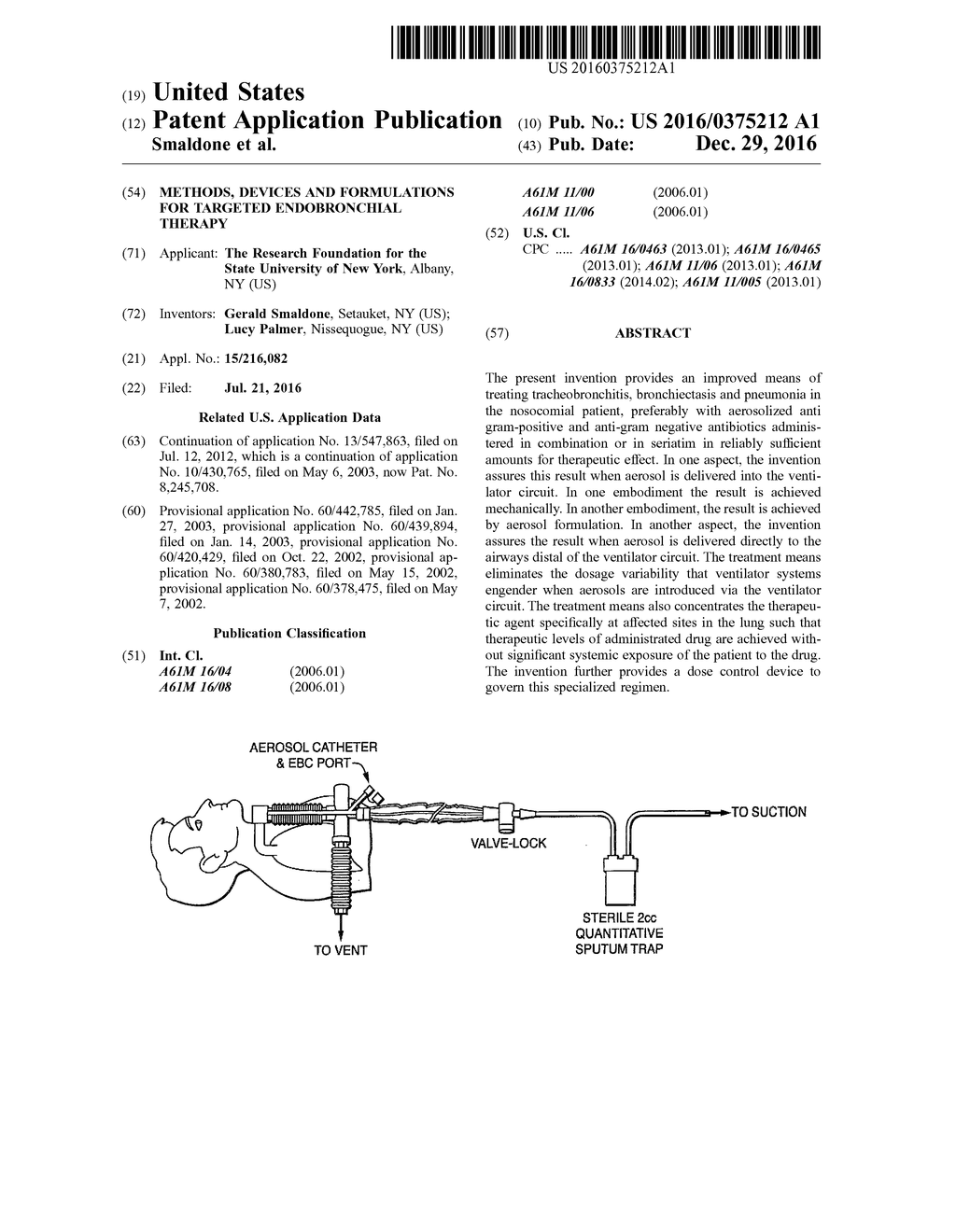 Methods, devices and Formulations For Targeted Endobronchial Therapy - diagram, schematic, and image 01