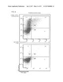 ENHANCING THE T-CELL STIMULATORY CAPACITY OF HUMAN ANTIGEN PRESENTING     CELLS IN VITRO AND IN VIVO AND ITS USE IN VACCINATION diagram and image