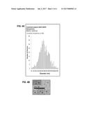 EGFR-TARGETED NANOPARTICLES diagram and image
