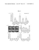 PARA-XYLENE FILMS AND THERAPEUTIC USES THEREOF diagram and image