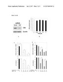 NOVEL CANNABINOID RECEPTOR 2 (CB2) INVERSE AGONISTS AND THERAPEUTIC     POTENTIAL FOR MULTIPLE MYELOMA AND OSTEOPOROSIS BONE DISEASES diagram and image