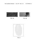 SYSTEMS AND METHODS FOR COARSE-TO-FINE RIDGE-BASED BIOMETRIC IMAGE     ALIGNMENT diagram and image