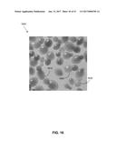 SYSTEMS AND METHODS FOR CULTIVATING AND DISTRIBUTING AQUATIC ORGANISMS diagram and image