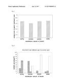 NOVEL LEUCONOSTOC CITREUM AND FERMENTED FOODS USING THE SAME AS A STARTER,     AND COMPOSITIONS THEREOF diagram and image