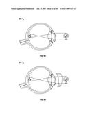 METHODS AND SYSTEMS FOR PERFORMING CONFOCAL MICROSCOPY diagram and image