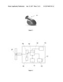 SYSTEM FOR CONDUCTING A REMOTE PHYSICAL EXAMINATION diagram and image