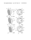 FACET JOINT PROSTHESIS diagram and image