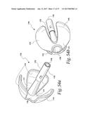 FLUSHABLE CATHETERS diagram and image