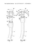 FLUSHABLE CATHETERS diagram and image