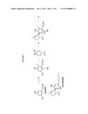 PROCESS FOR THE PRODUCTION OF CANNABIDIOL AND DELTA-9-TETRAHYDROCANNABINOL diagram and image