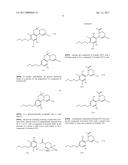 PROCESS FOR THE PRODUCTION OF CANNABIDIOL AND DELTA-9-TETRAHYDROCANNABINOL diagram and image