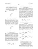 BICYCLIC LACTAMS AND METHODS OF USE THEREOF diagram and image