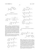 HETEROCYCLIC AMIDES AS KINASE INHIBITORS diagram and image