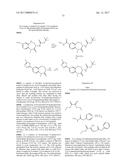 HETEROCYCLIC AMIDES AS KINASE INHIBITORS diagram and image