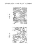 NOVEL CYSTEINE PROTEASE INHIBITORS AND USES THEREOF diagram and image