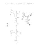 NOVEL CYSTEINE PROTEASE INHIBITORS AND USES THEREOF diagram and image