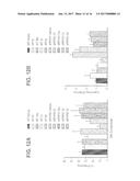 NOVEL CYSTEINE PROTEASE INHIBITORS AND USES THEREOF diagram and image