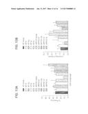 NOVEL CYSTEINE PROTEASE INHIBITORS AND USES THEREOF diagram and image