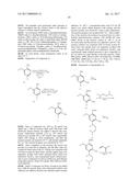 2,4-DISUBSTITUTED PHENYLENE-1,5-DIAMINE DERIVATIVES AND APPLICATIONS     THEREOF, AND PHARMACEUTICAL COMPOSITIONS AND PHARMACEUTICALLY ACCEPTABLE     COMPOSITIONS PREPARED THEREFROM diagram and image