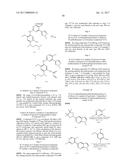 2,4-DISUBSTITUTED PHENYLENE-1,5-DIAMINE DERIVATIVES AND APPLICATIONS     THEREOF, AND PHARMACEUTICAL COMPOSITIONS AND PHARMACEUTICALLY ACCEPTABLE     COMPOSITIONS PREPARED THEREFROM diagram and image