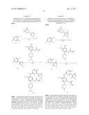 2,4-DISUBSTITUTED PHENYLENE-1,5-DIAMINE DERIVATIVES AND APPLICATIONS     THEREOF, AND PHARMACEUTICAL COMPOSITIONS AND PHARMACEUTICALLY ACCEPTABLE     COMPOSITIONS PREPARED THEREFROM diagram and image