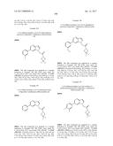 SUBSTITUTED 4-AZAINDOLES AND THEIR USE AS GLUN2B RECEPTOR MODULATORS diagram and image