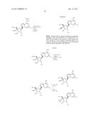 PYRROLO[1,2-f][1,2,4]TRIAZINES USEFUL FOR TREATING RESPIRATORY SYNCITIAL     VIRUS INFECTIONS diagram and image