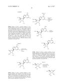 PYRROLO[1,2-f][1,2,4]TRIAZINES USEFUL FOR TREATING RESPIRATORY SYNCITIAL     VIRUS INFECTIONS diagram and image