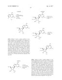 PYRROLO[1,2-f][1,2,4]TRIAZINES USEFUL FOR TREATING RESPIRATORY SYNCITIAL     VIRUS INFECTIONS diagram and image