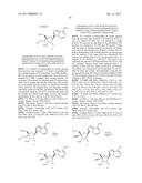 PYRROLO[1,2-f][1,2,4]TRIAZINES USEFUL FOR TREATING RESPIRATORY SYNCITIAL     VIRUS INFECTIONS diagram and image