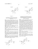 PYRROLO[1,2-f][1,2,4]TRIAZINES USEFUL FOR TREATING RESPIRATORY SYNCITIAL     VIRUS INFECTIONS diagram and image