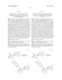 PYRROLO[1,2-f][1,2,4]TRIAZINES USEFUL FOR TREATING RESPIRATORY SYNCITIAL     VIRUS INFECTIONS diagram and image